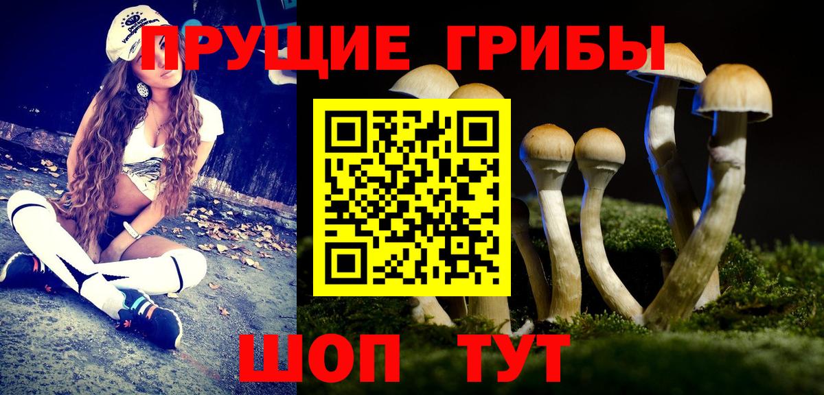 Псилоцибиновые грибы GOLDEN TEACHER  Псилоцибиновые грибы Psilocybine cubensis  Вход с VPN  Выборг 