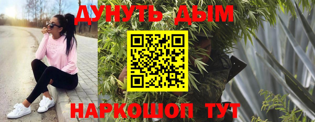 Конопля конопля Выборг