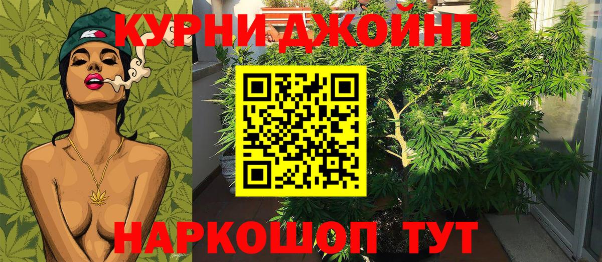 Выборг  Бошки Шишки White Widow  Шишки марихуана MAZAR  Вход с VPN  Шишки марихуана план 